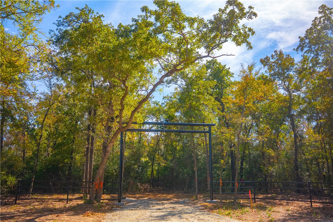 12428 Red Hill Road Hearne, TX 77859 - Photo 3 of 13 a view of a with large tree