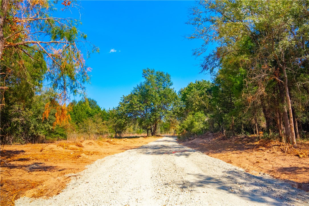 12428 Red Hill Road Hearne, TX 77859 - Photo 4 of 13 a view of backyard space