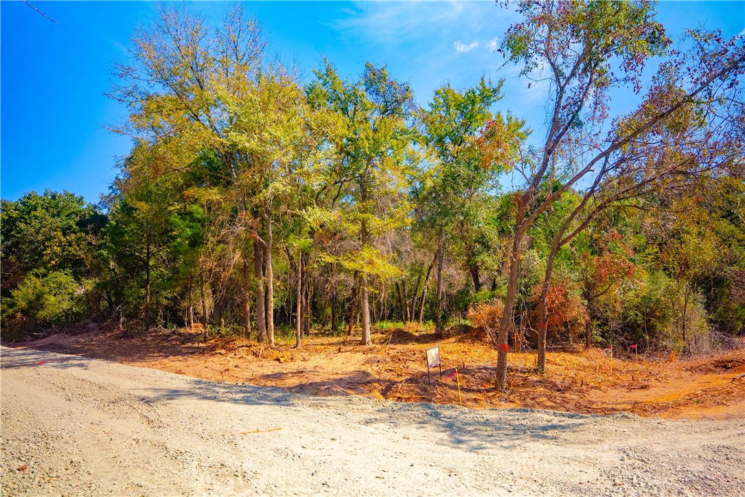 12428 Red Hill Road Hearne, TX 77859 - Photo 8 of 13 a backyard of a house with large trees