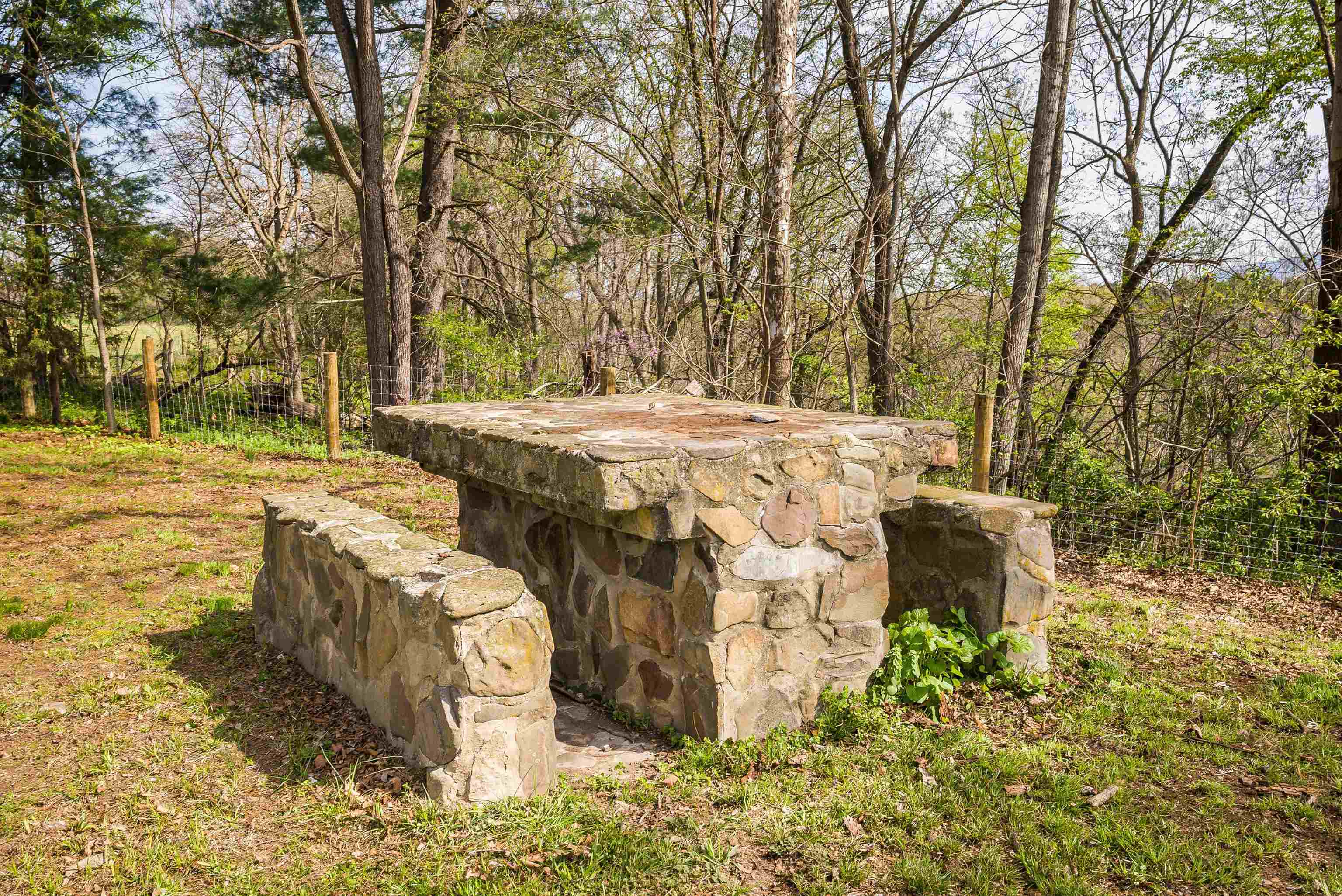 574 Jiggady Road New Market, VA 22844 - Photo 52 of 75