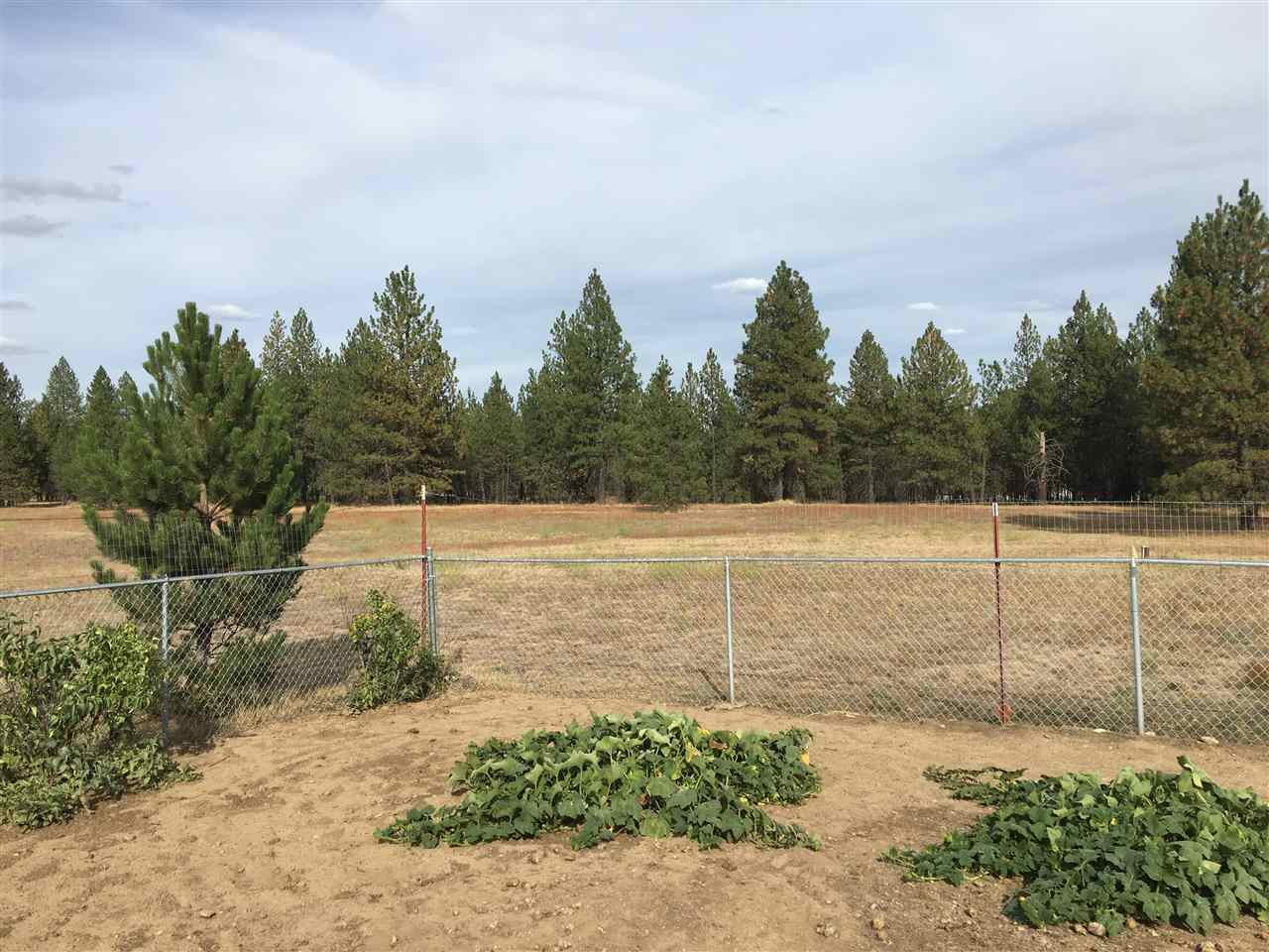 25916 North Perry Circle Chattaroy, WA 99003 - Photo 9 of 17