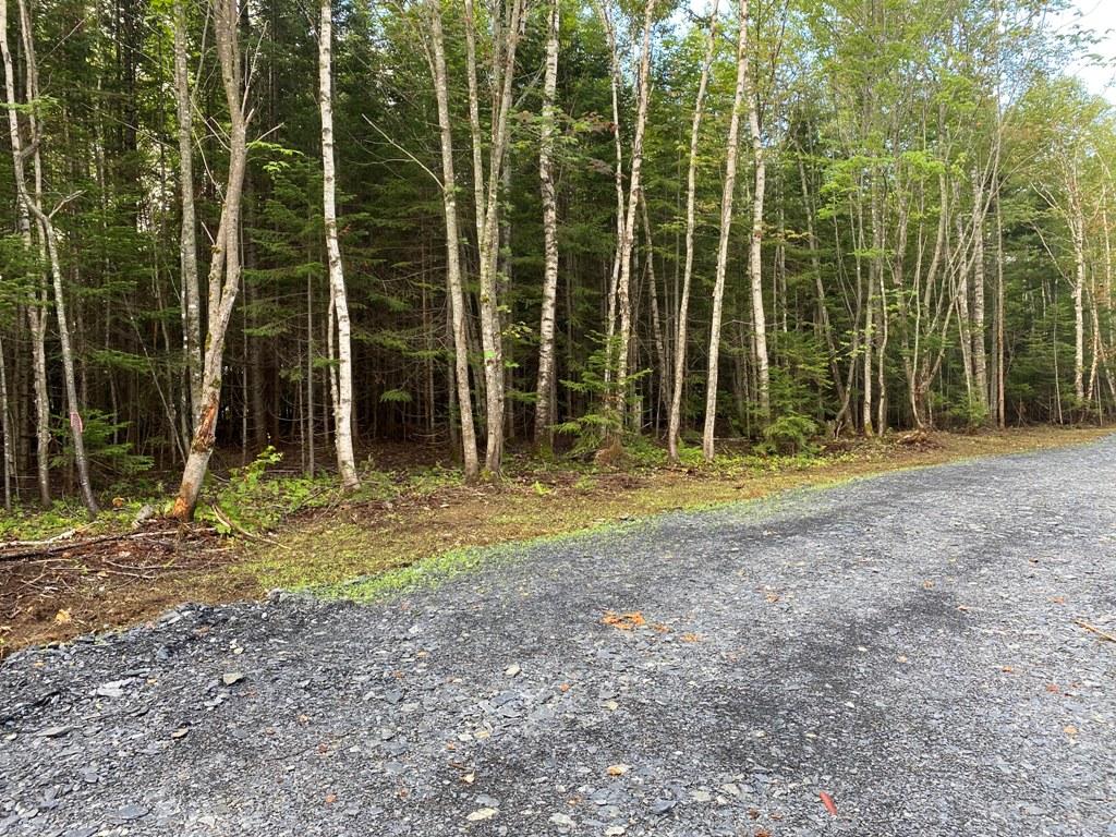 Lot 4 East Road Greenville, ME 04441 - Photo 12 of 19 IMG_3091