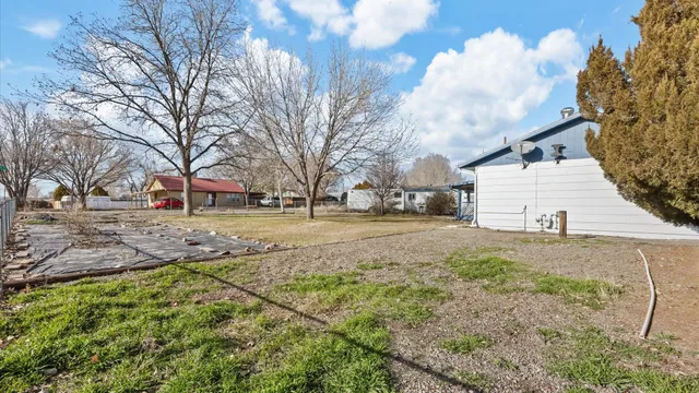 a view of yard with tree s