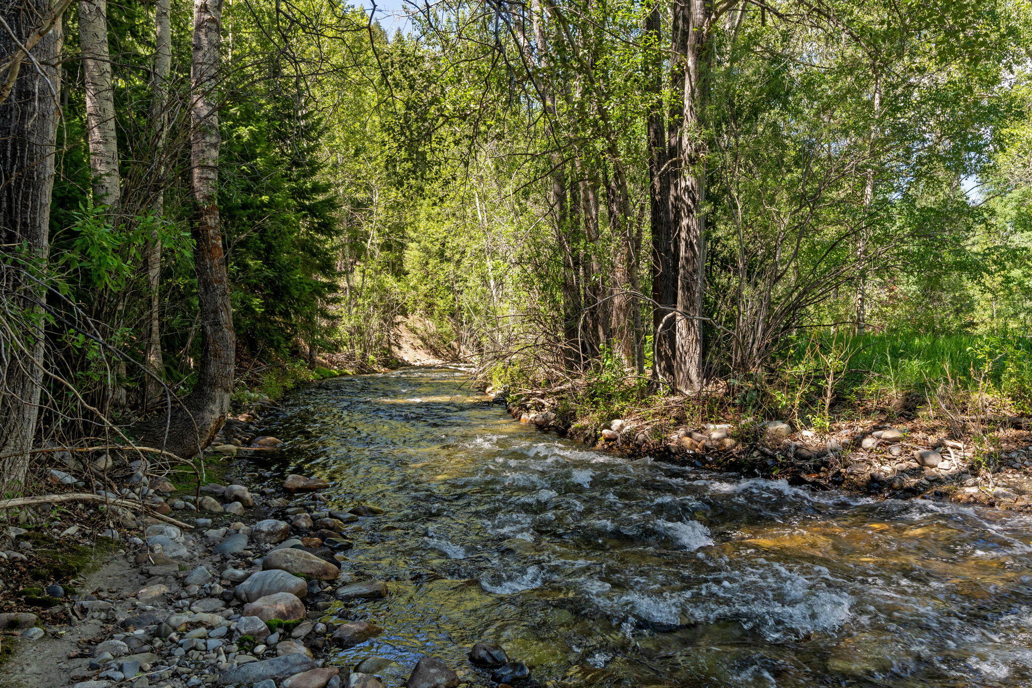 210 Timberline Road Blaine County, ID 83333 - Photo 4 of 33 East Fork of The Big Wood River