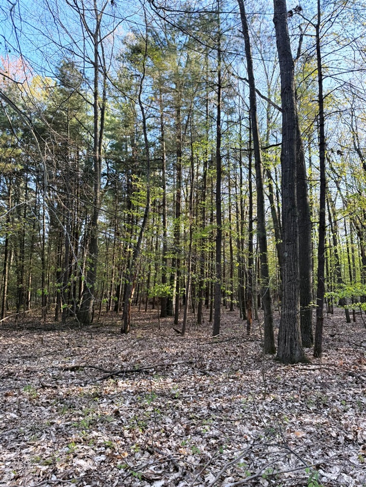 0 West Adams Road Hesperia, MI 49421 - Photo 40 of 74
