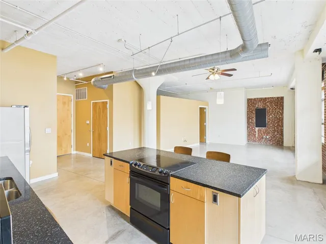 $1,600 | 1611 Locust Street, Unit 507, St. Louis, MO 63103