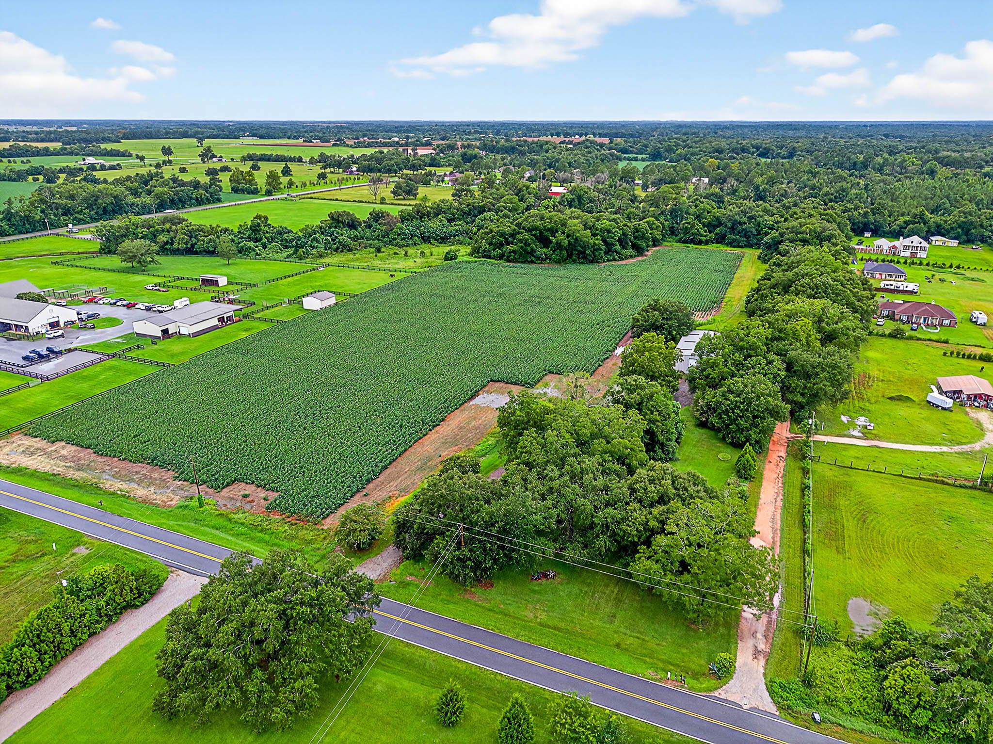 17270 Davis Road Summerdale, AL 36580 - Photo 53 of 97 Aerial View