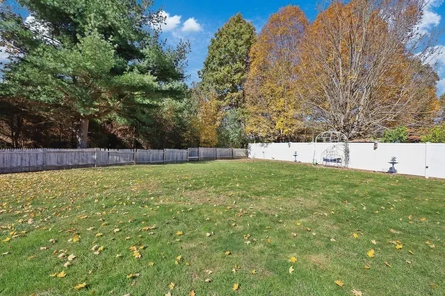 a view of yard with large trees