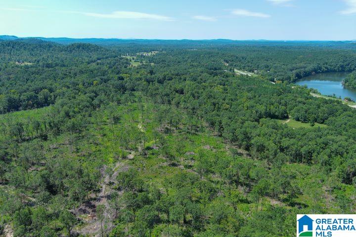 209 Harts Ferry Road, Unit 3 Ohatchee, AL 36271 - Photo 11 of 24