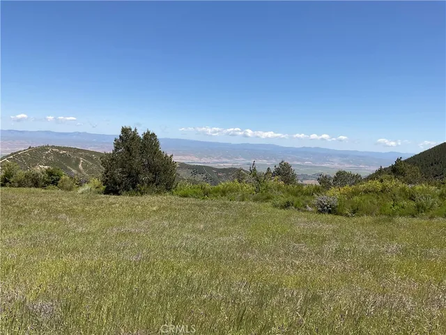 a view of a field with an ocean