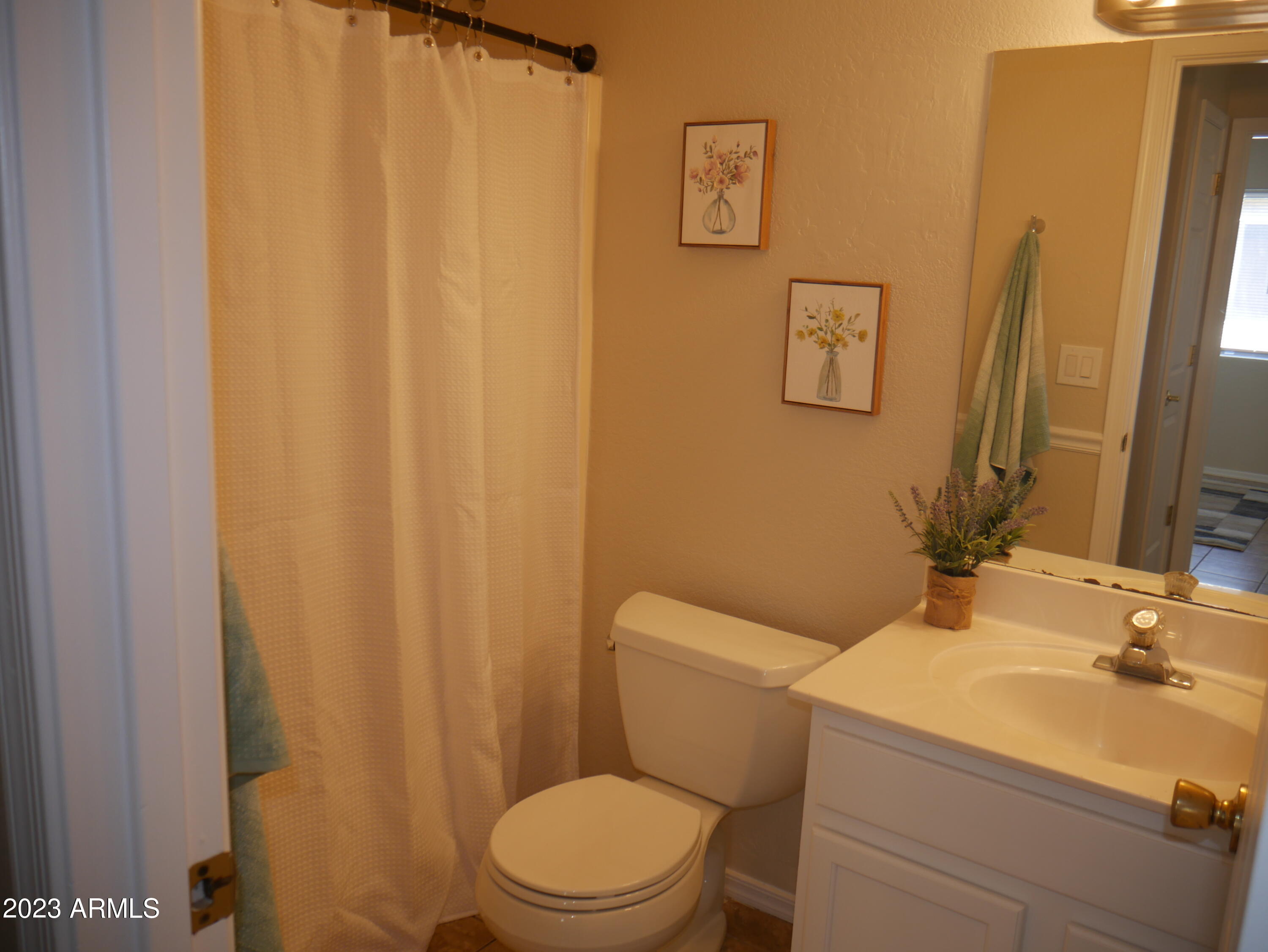 697 South Del Rio Court Apache Junction, AZ 85119 - Photo 13 of 33 Bath 2