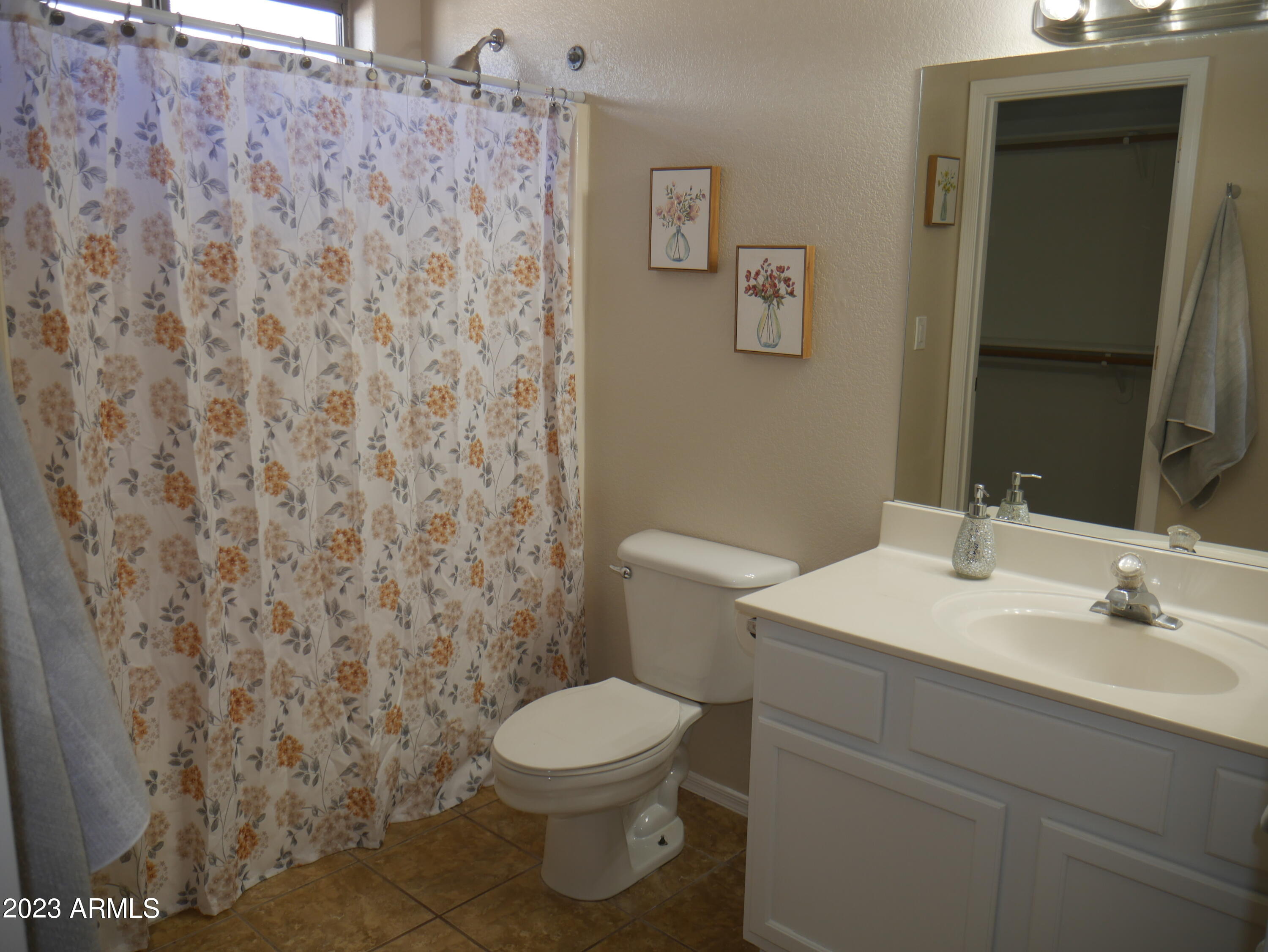697 South Del Rio Court Apache Junction, AZ 85119 - Photo 19 of 33 Master bath