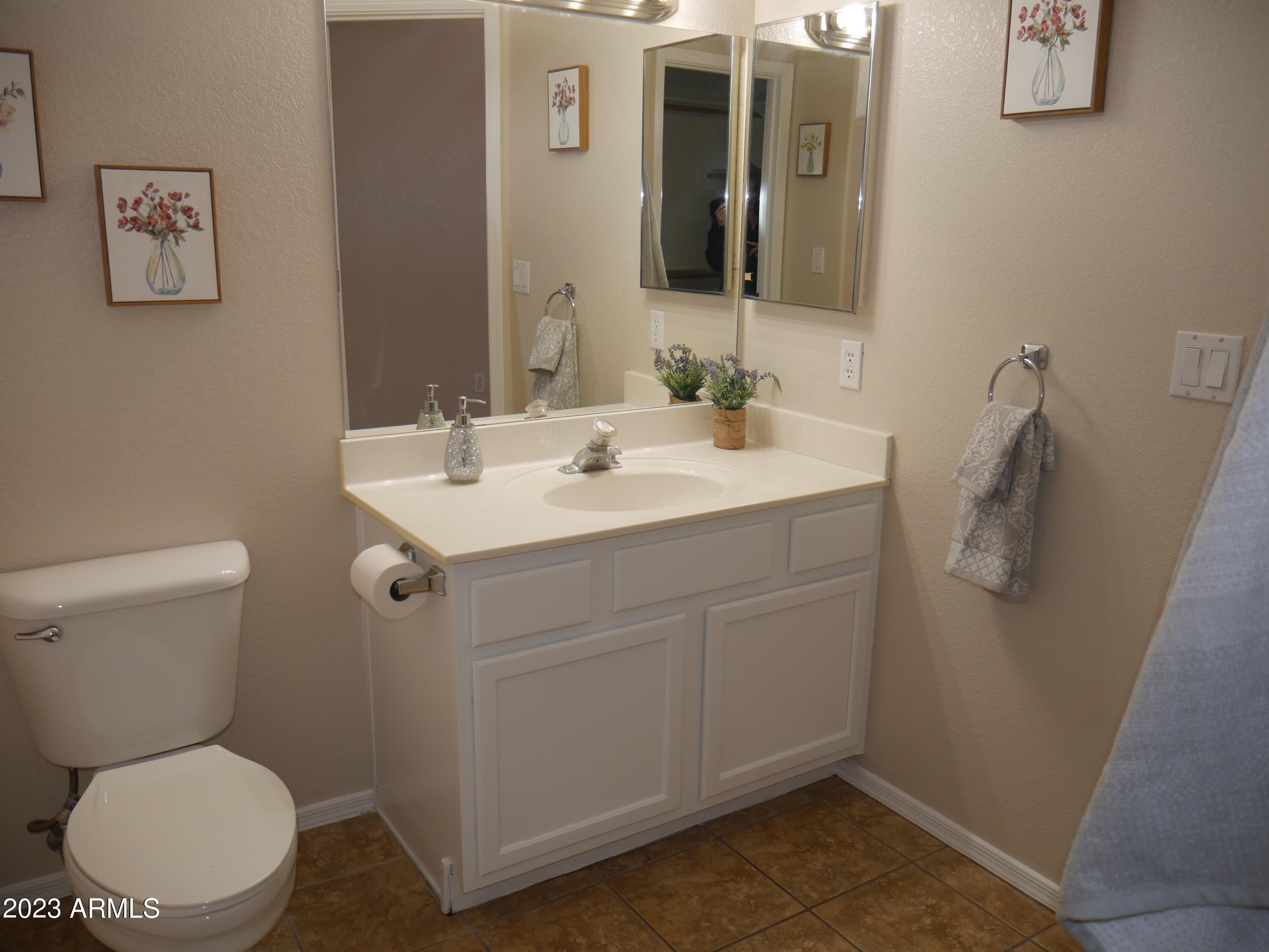 697 South Del Rio Court Apache Junction, AZ 85119 - Photo 22 of 33 Master bath