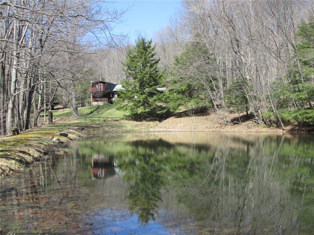 188 County Line Road Champion, PA 15622 - Photo 23 of 25 There used to be rainbow trout in here!