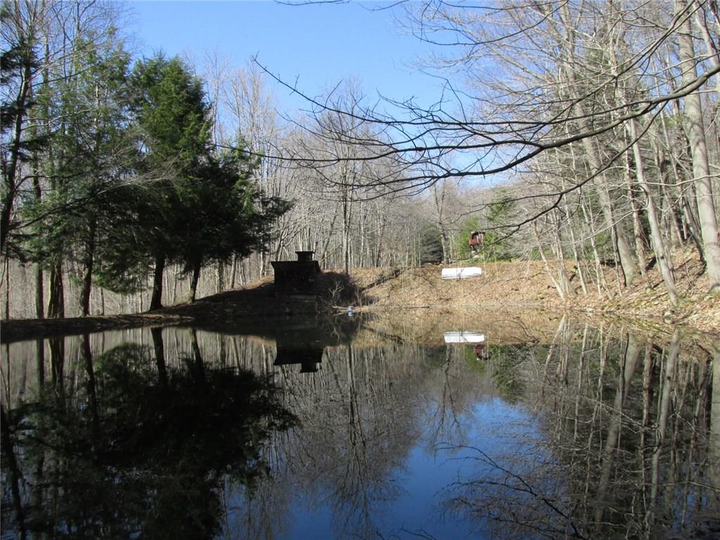 188 County Line Road Champion, PA 15622 - Photo 24 of 25 The large pond is right above this one. County Line Road is off to the far left. You can still see the home from here.