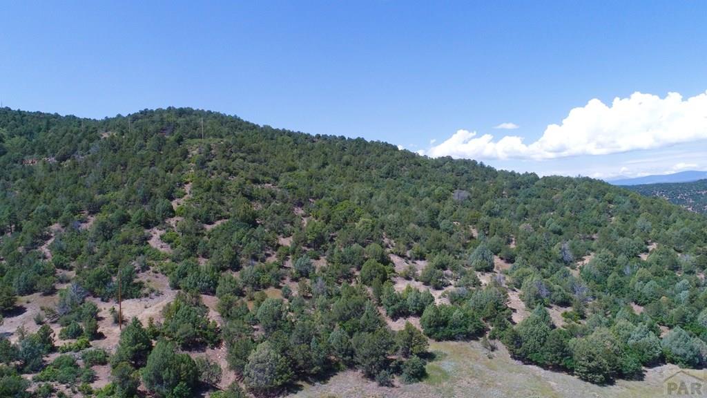 25850 River Pines Road Aguilar, CO 81020 - Photo 56 of 64