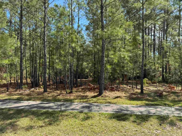 $65,000 | 113 Pineberry Drive, Georgetown, SC 29440