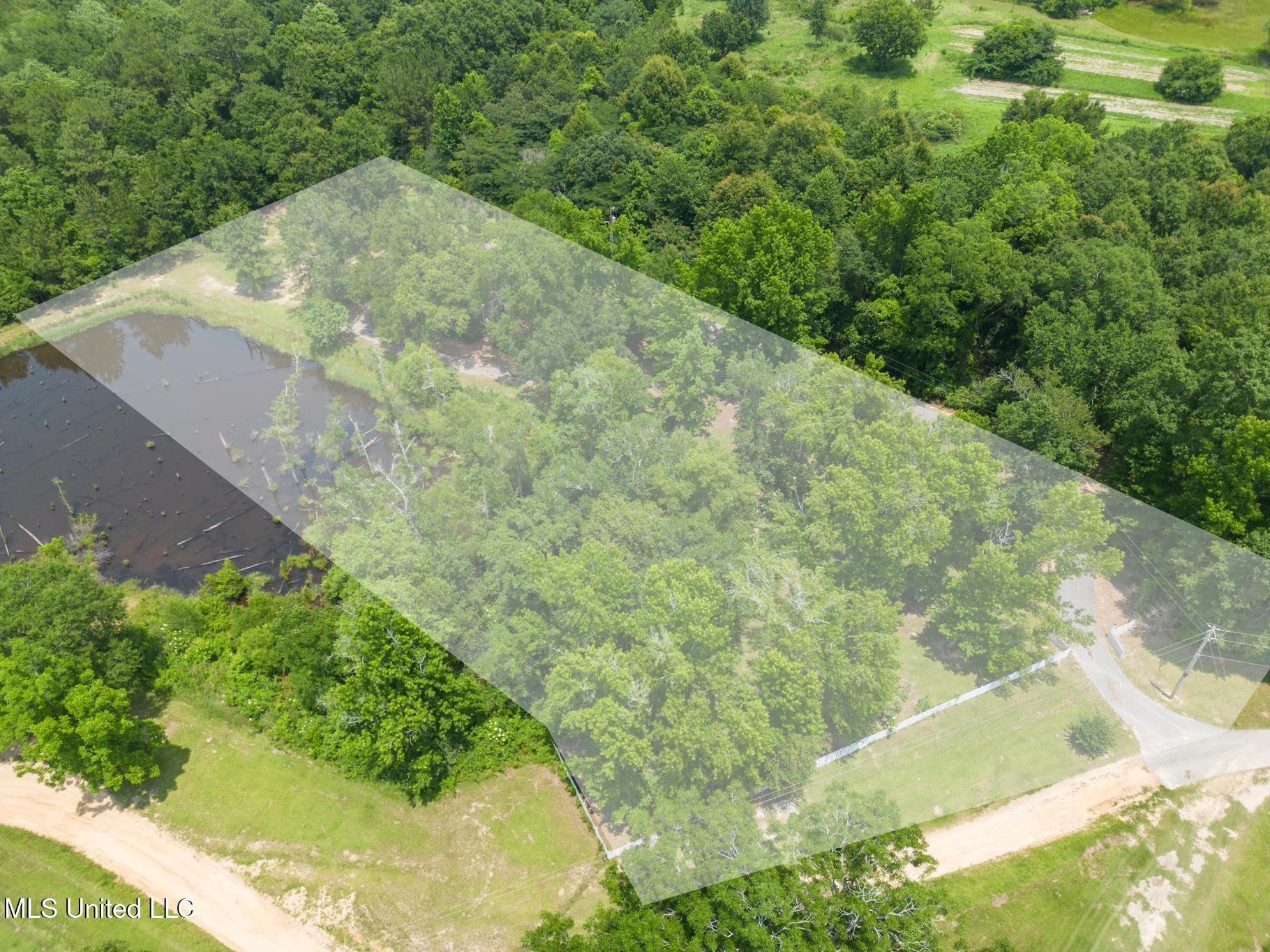 5318 Wendell Ladner Road Perkinston, MS 39573 - Photo 3 of 23 2-4s