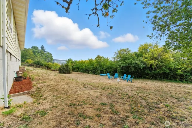 a view of backyard with green space