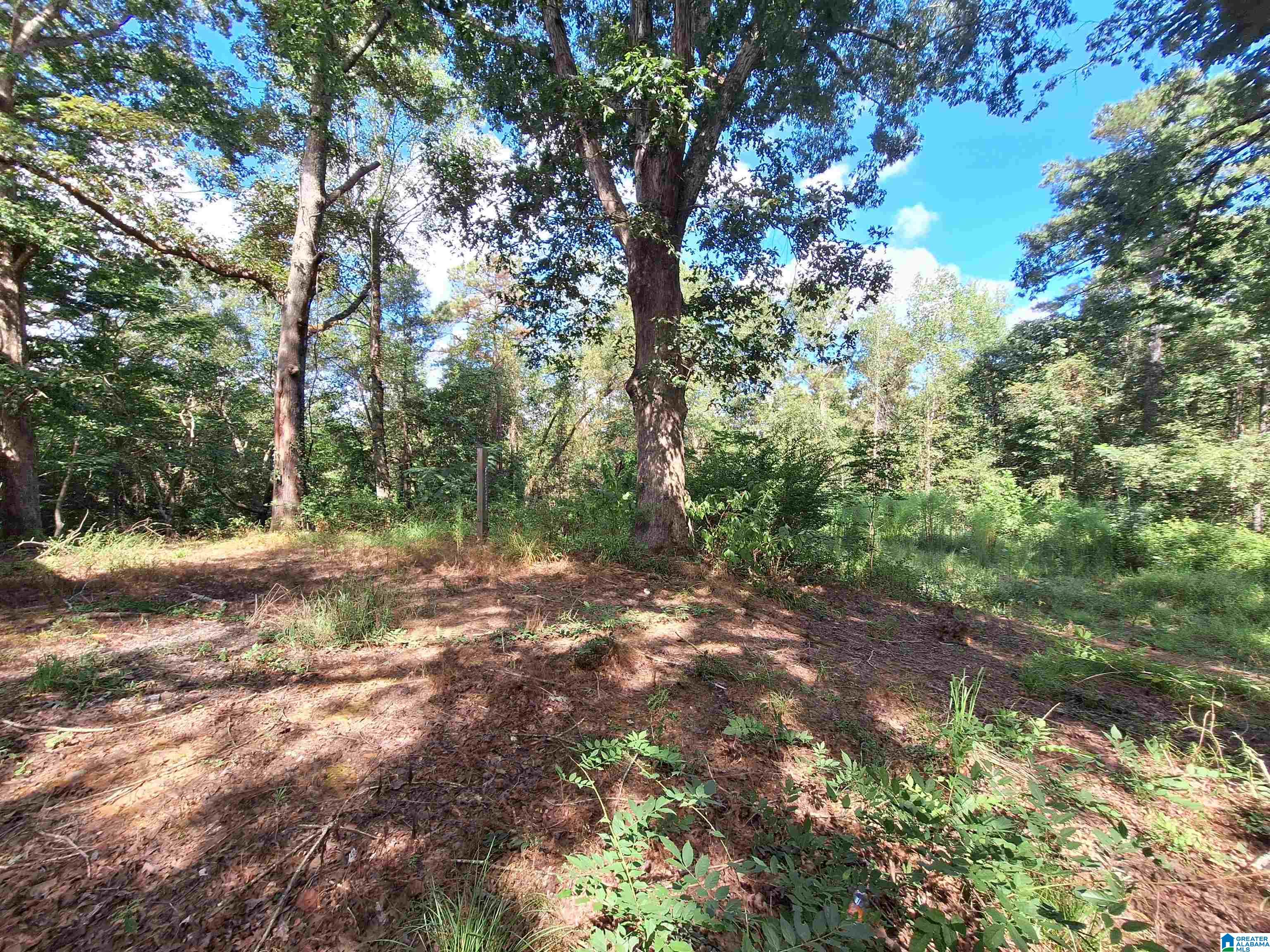 13533 Olivewood Road Coker, AL 35452 - Photo 64 of 66