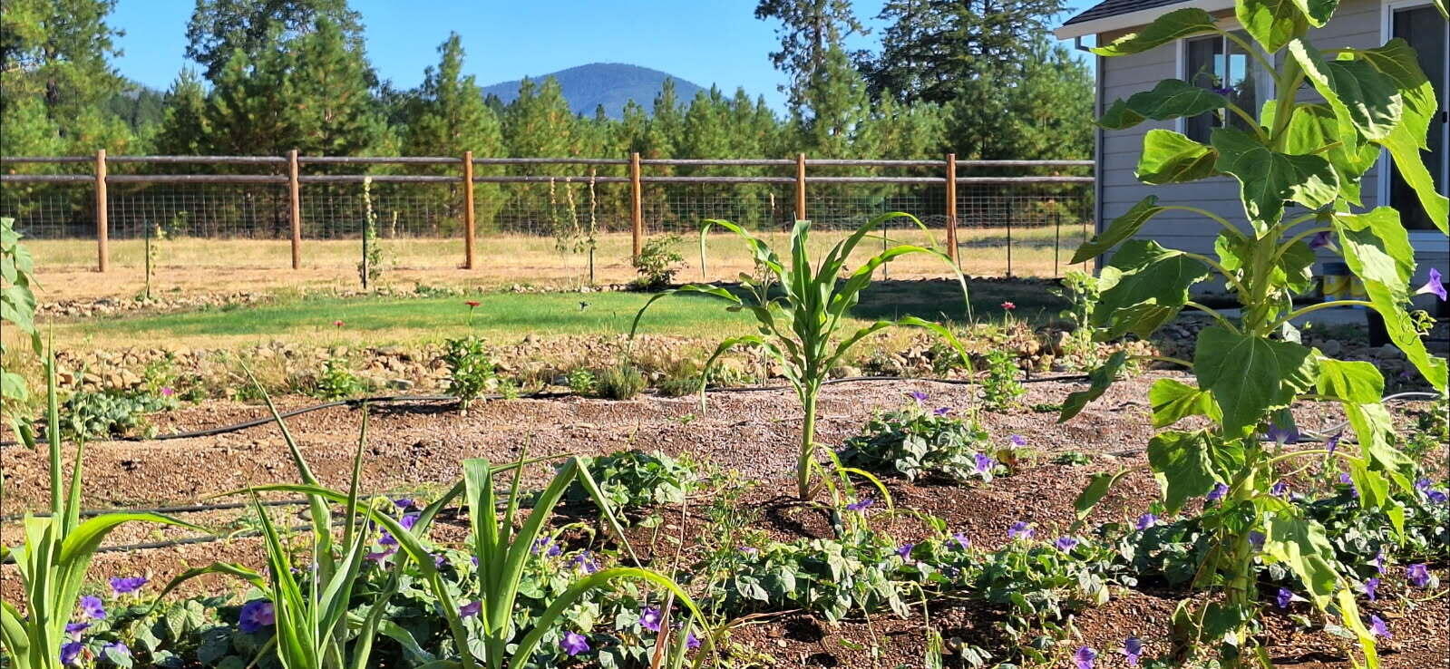585 East Forks Circle Cave Junction, OR 97523 - Photo 26 of 36 image1 (1)