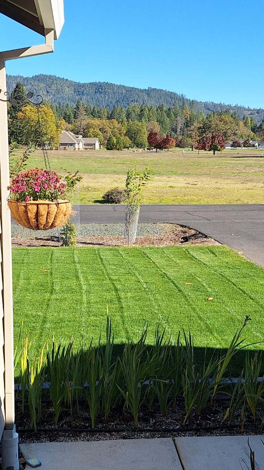 585 East Forks Circle Cave Junction, OR 97523 - Photo 28 of 36 image0 (9)