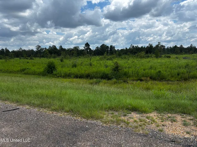 $1,400,000 | 1 Us 82 East, Starkville, MS 39759