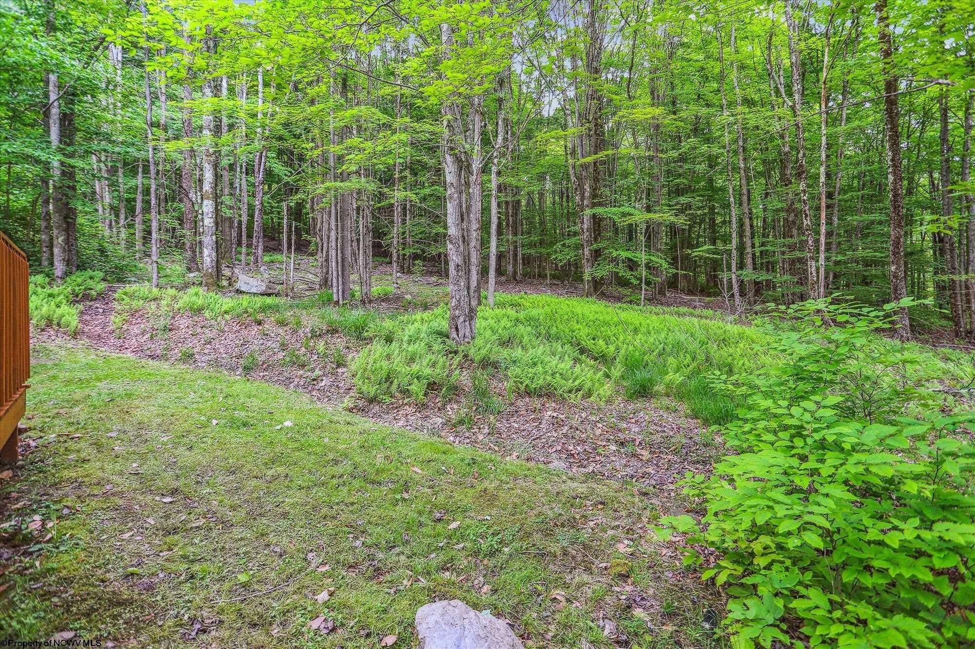 672 Ridge Road Davis, WV 26260 - Photo 32 of 33 Gallery Image 32