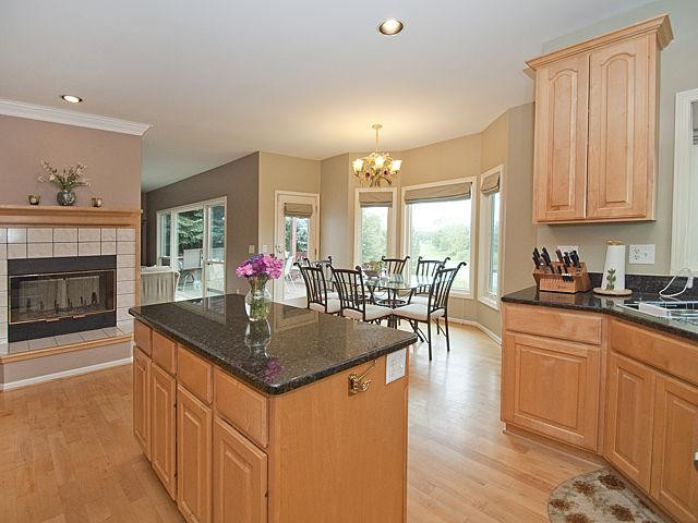 1869 Chicory Ridge Ann Arbor, MI 48103 - Photo 8 of 29 Photo 8