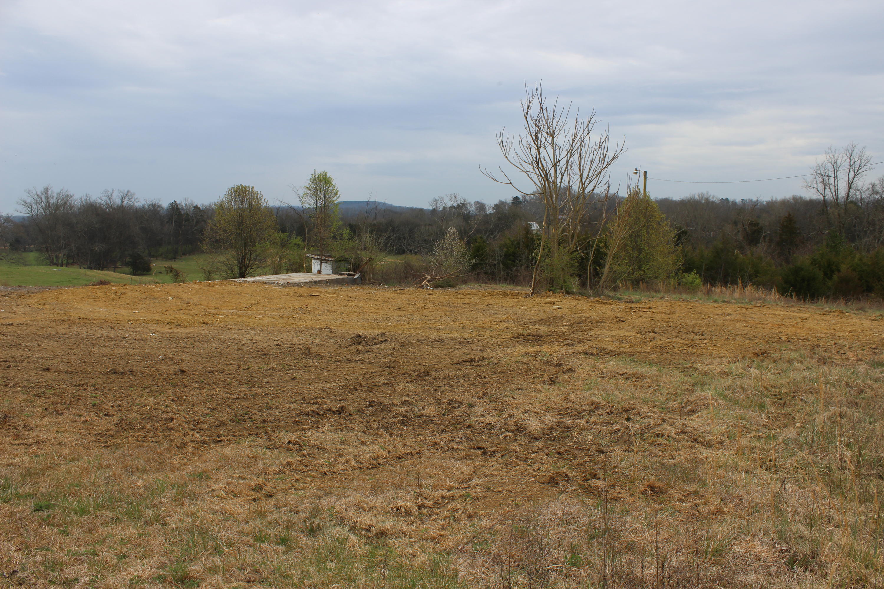 876 Dalton Road New Market, TN 37820 - Photo 3 of 8 IMG_7969