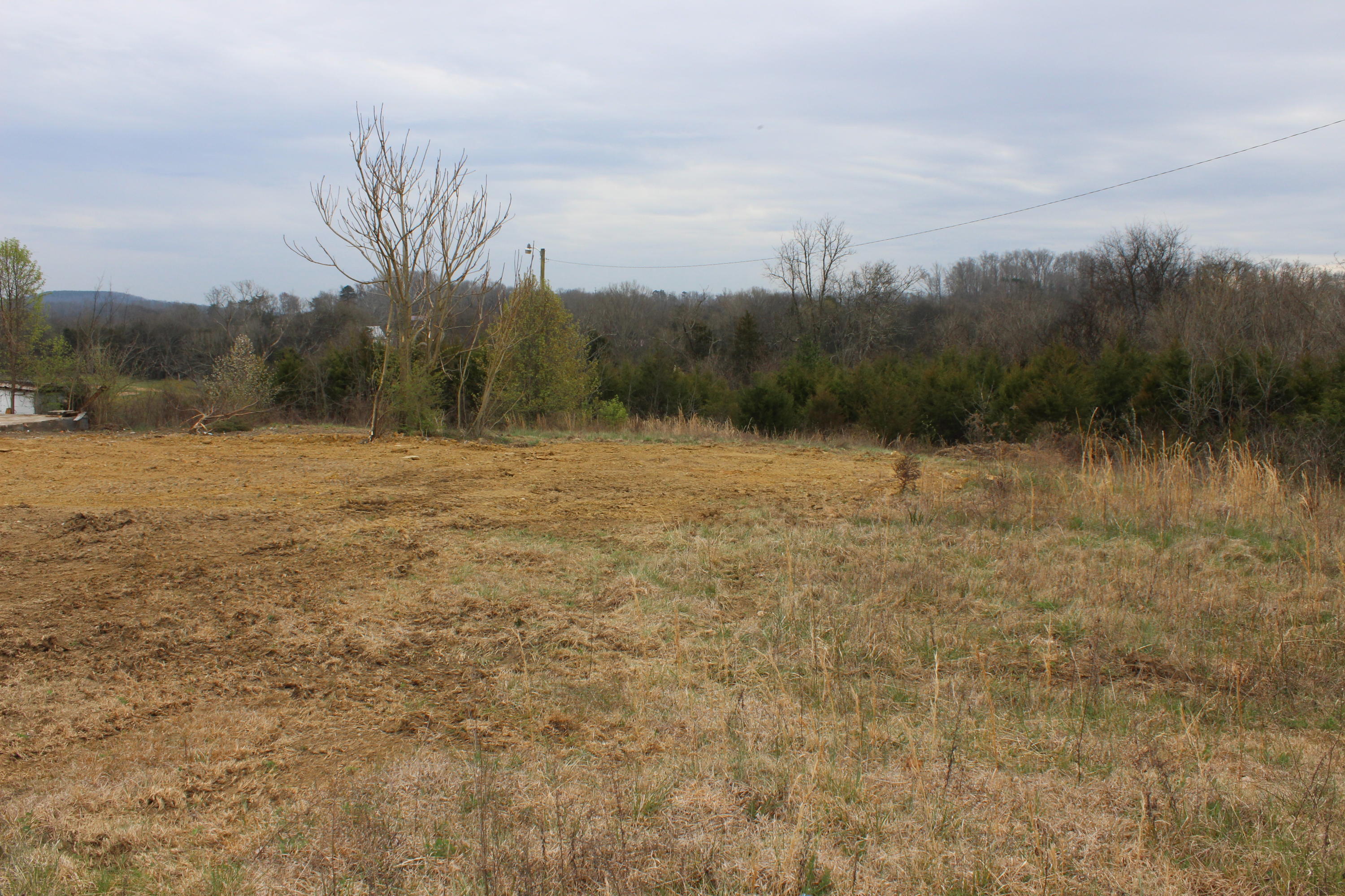 876 Dalton Road New Market, TN 37820 - Photo 4 of 8 IMG_7970