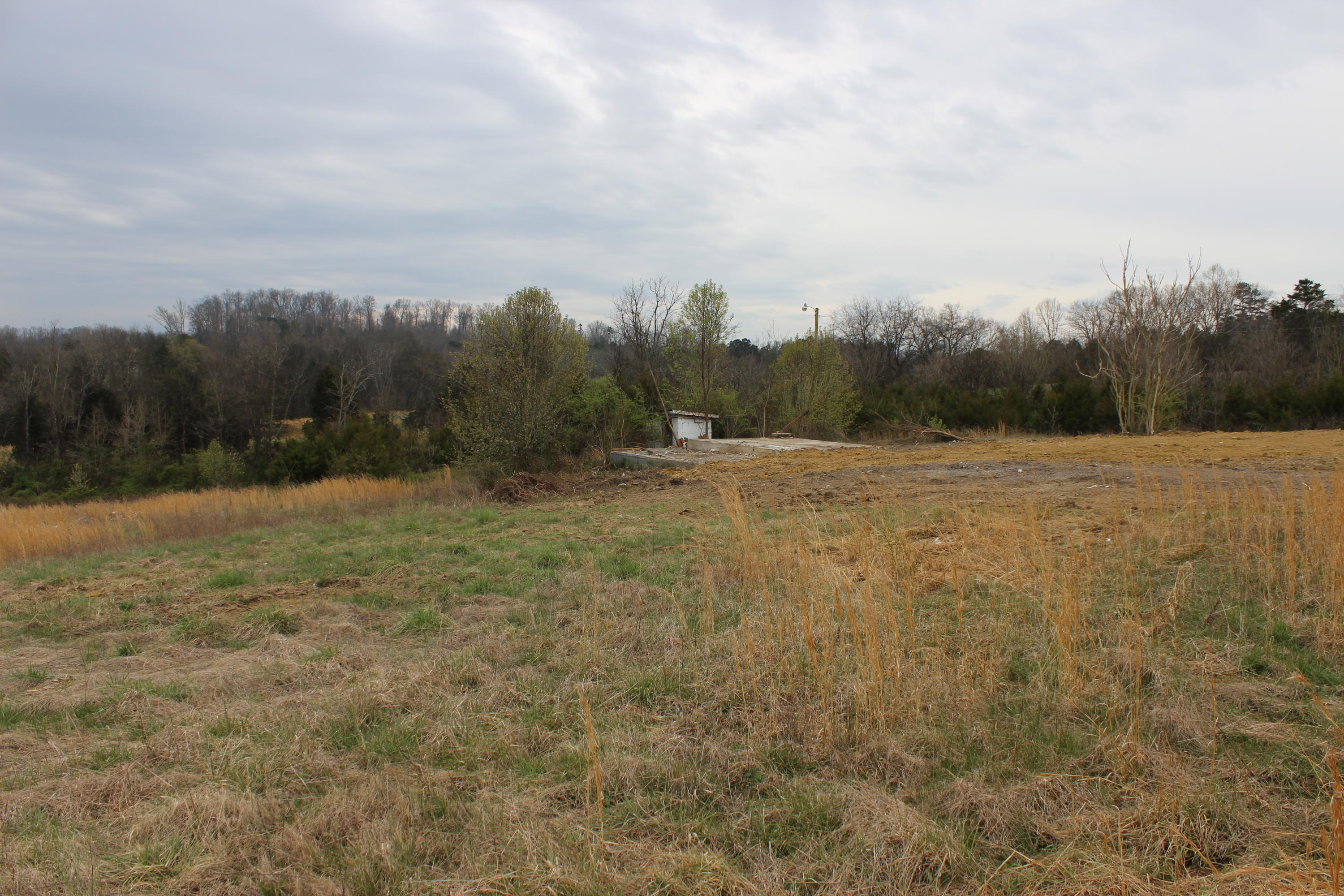 876 Dalton Road New Market, TN 37820 - Photo 6 of 8 IMG_7972