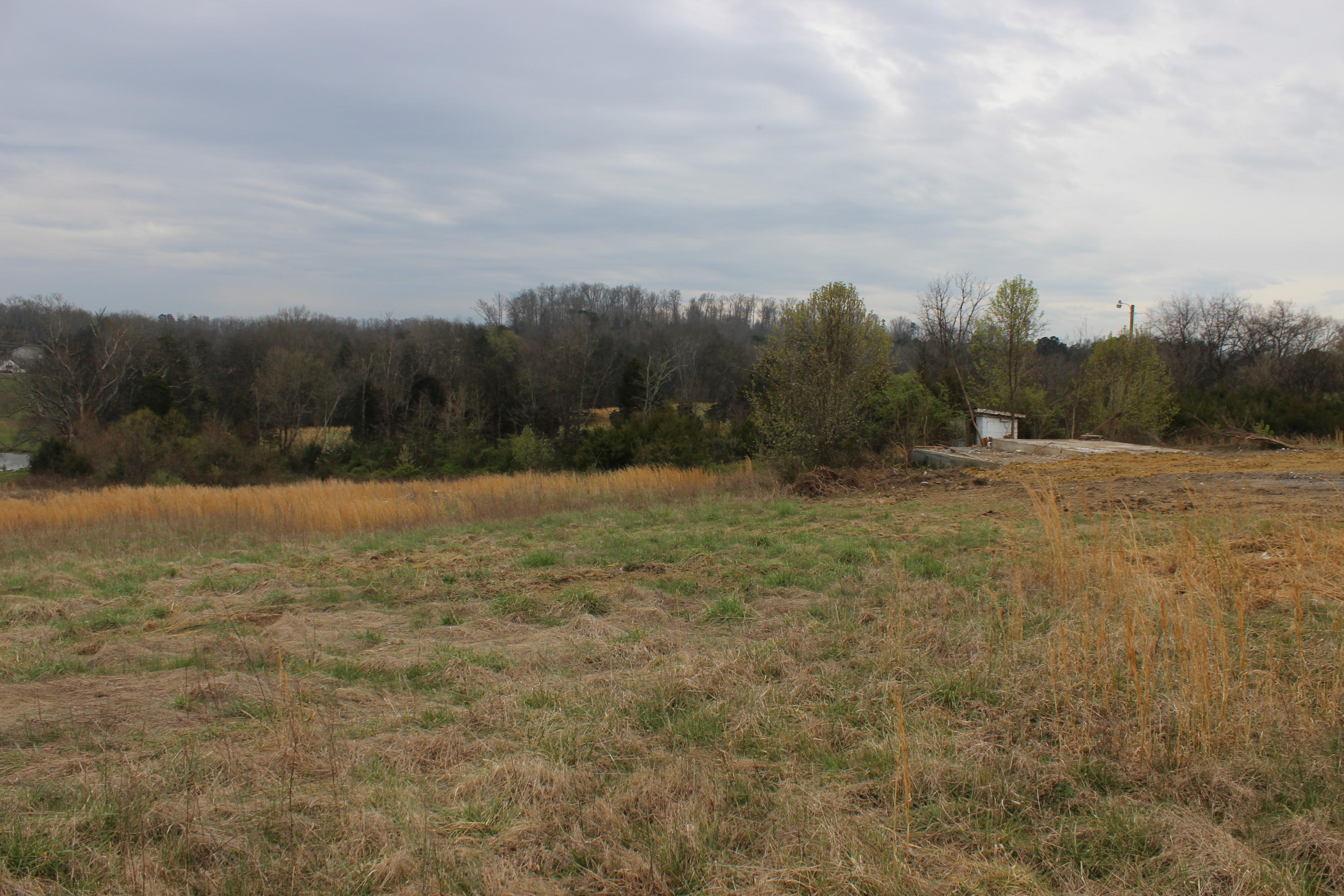 876 Dalton Road New Market, TN 37820 - Photo 7 of 8 IMG_7973