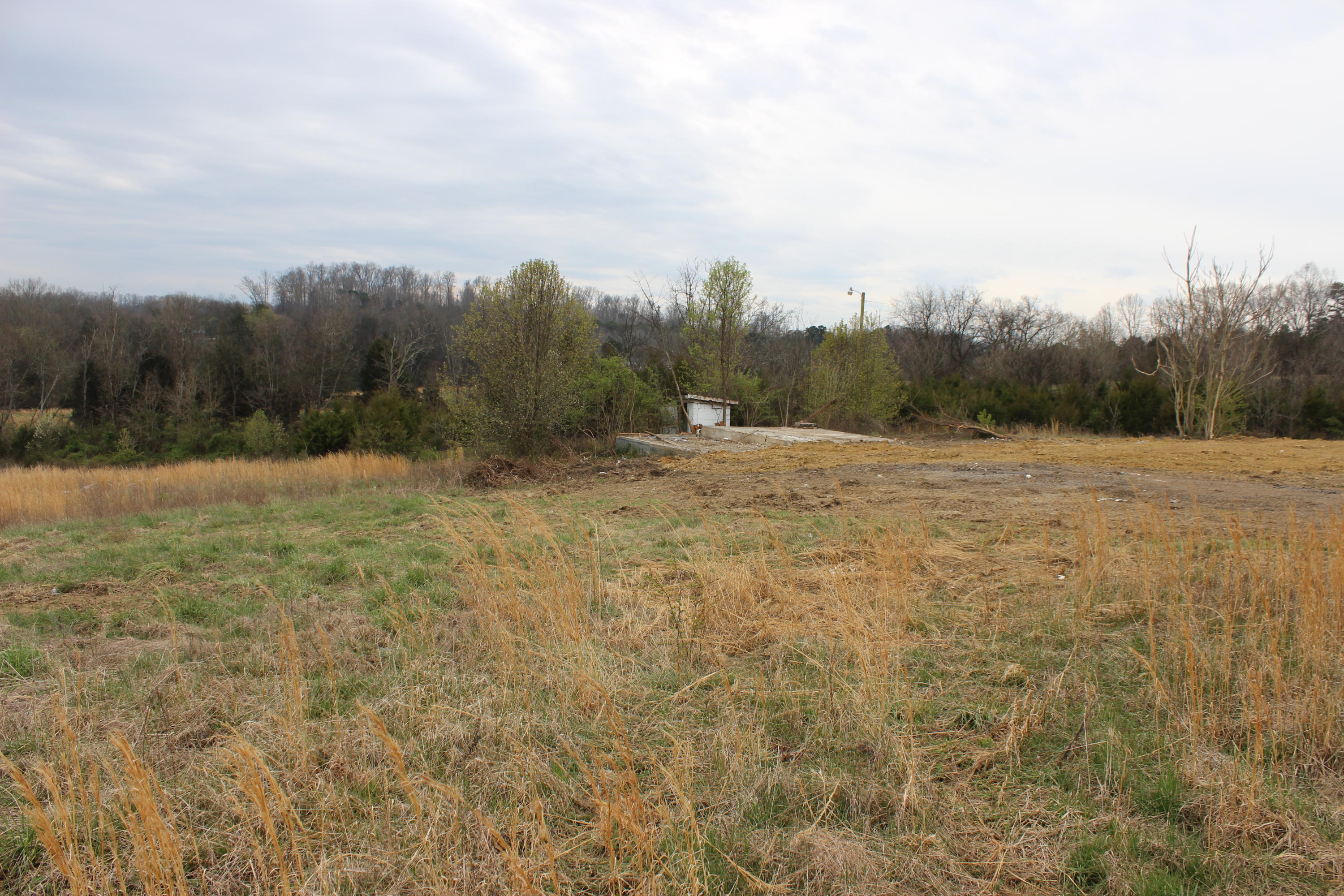 876 Dalton Road New Market, TN 37820 - Photo 8 of 8 IMG_7980