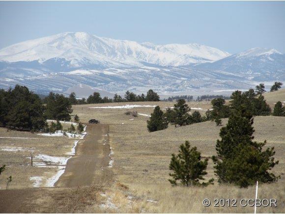 923 Falcon Road Hartsel, CO 80449 - Photo 1 of 1 Gallery Image 1