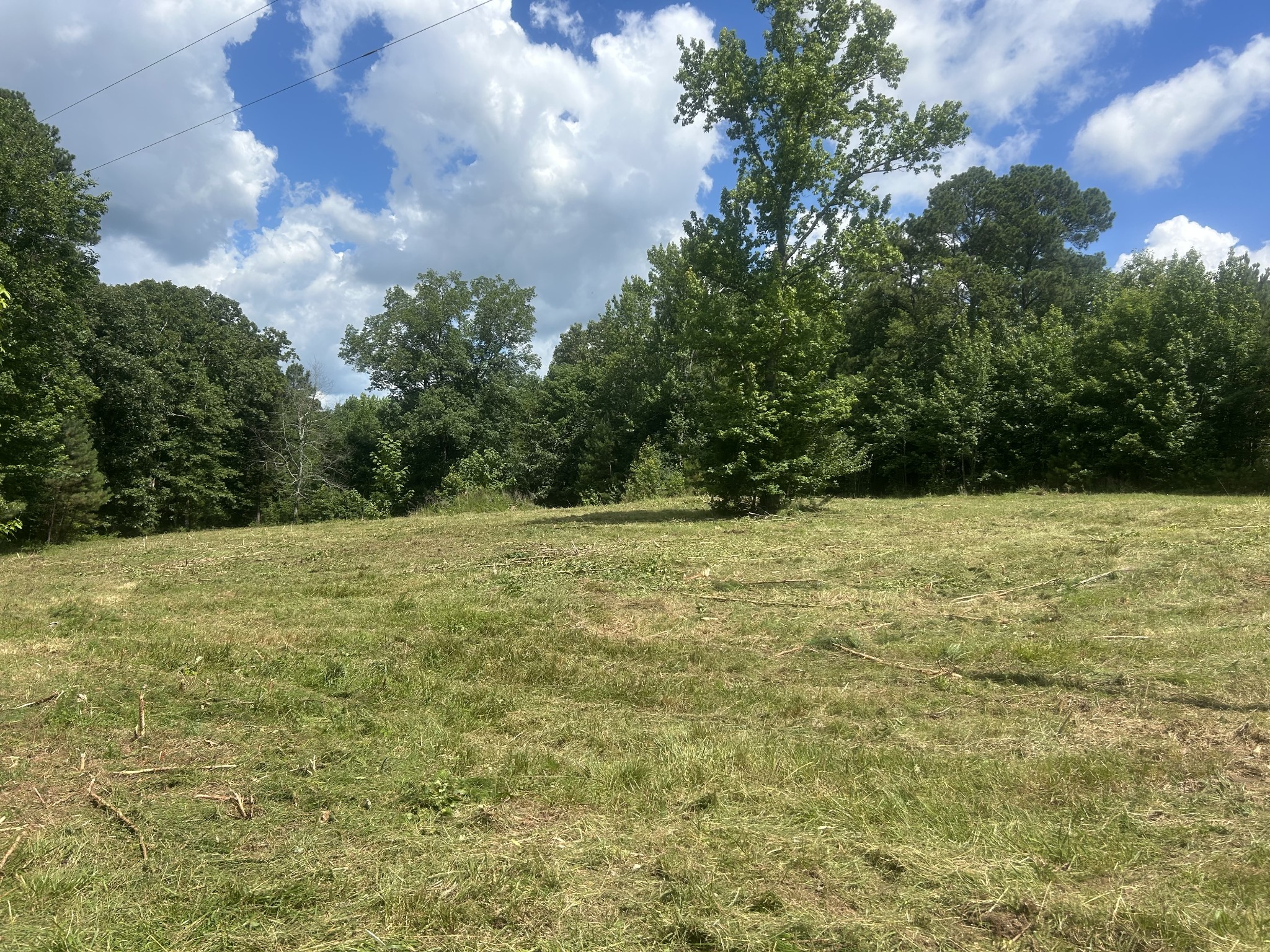 760 Chestnut Hill Road Eva, TN 38333 - Photo 5 of 10
