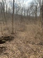 1725 West Point Road Southeast Lancaster, OH 43130 - Photo 77 of 82 6654948700716211061