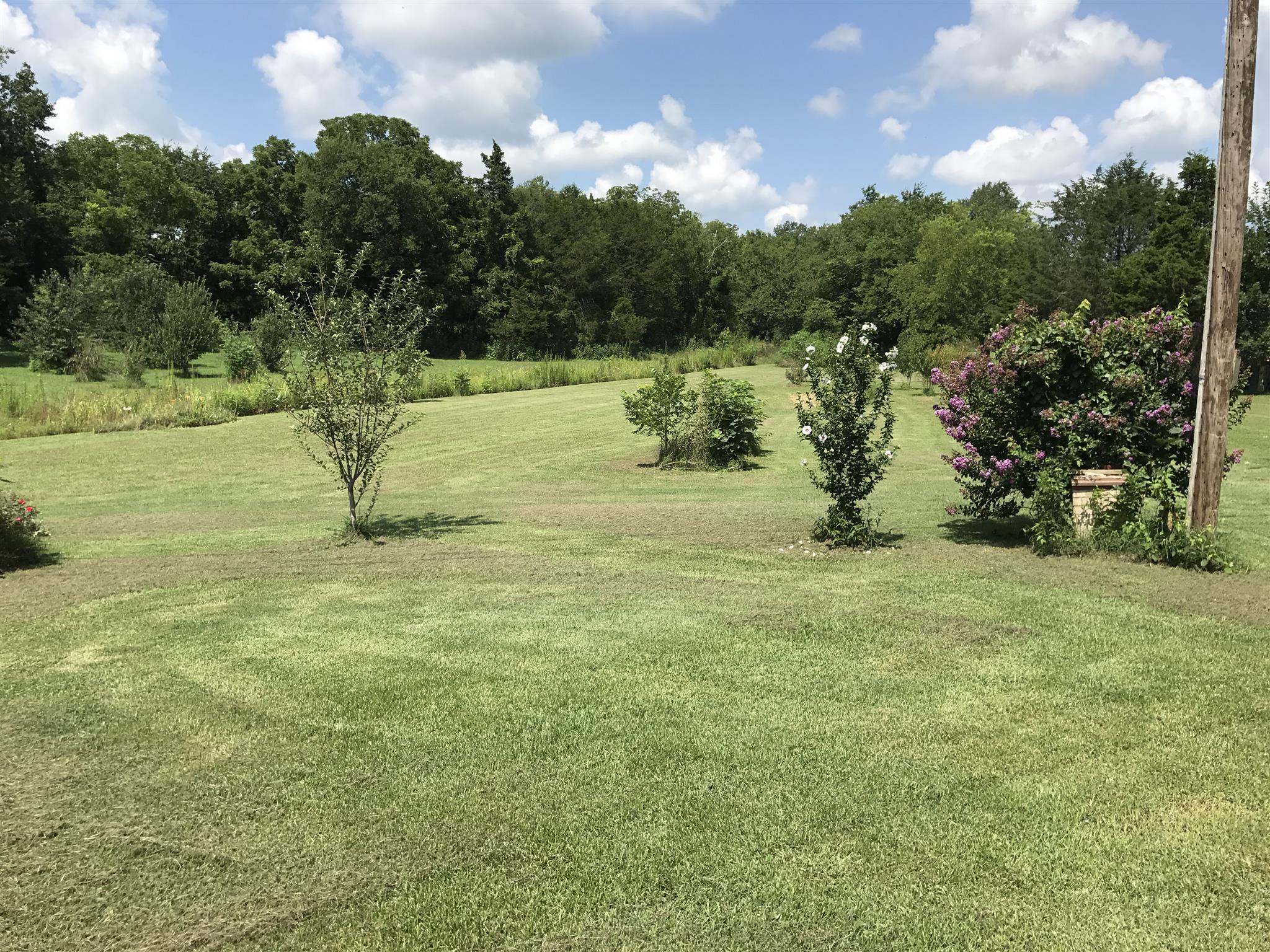 12292 Karo Road Bell Buckle, TN 37020 - Photo 22 of 27 Gallery Image 22
