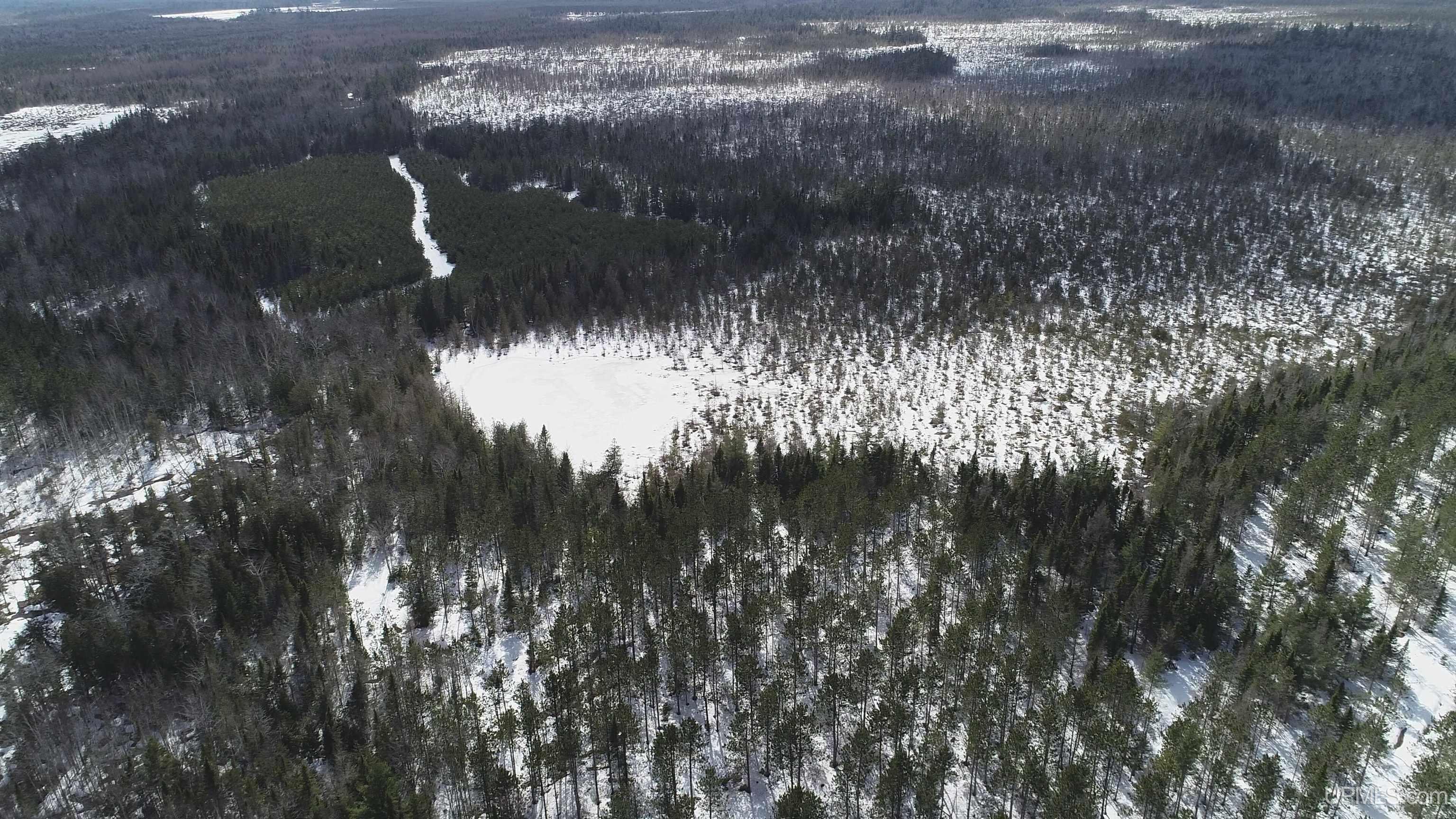 20-acres Off Flodin Road Manistique, MI 49854 - Photo 20 of 29