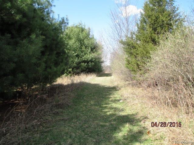 4340 Murphy Lake Road Millington, MI 48746 - Photo 30 of 34 murphy 105.jpg