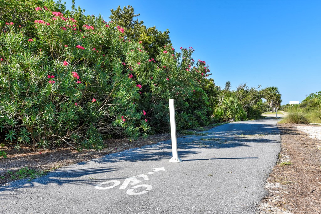 2116 Sea Fern Way St. George Island, FL 32328 - Photo 19 of 21