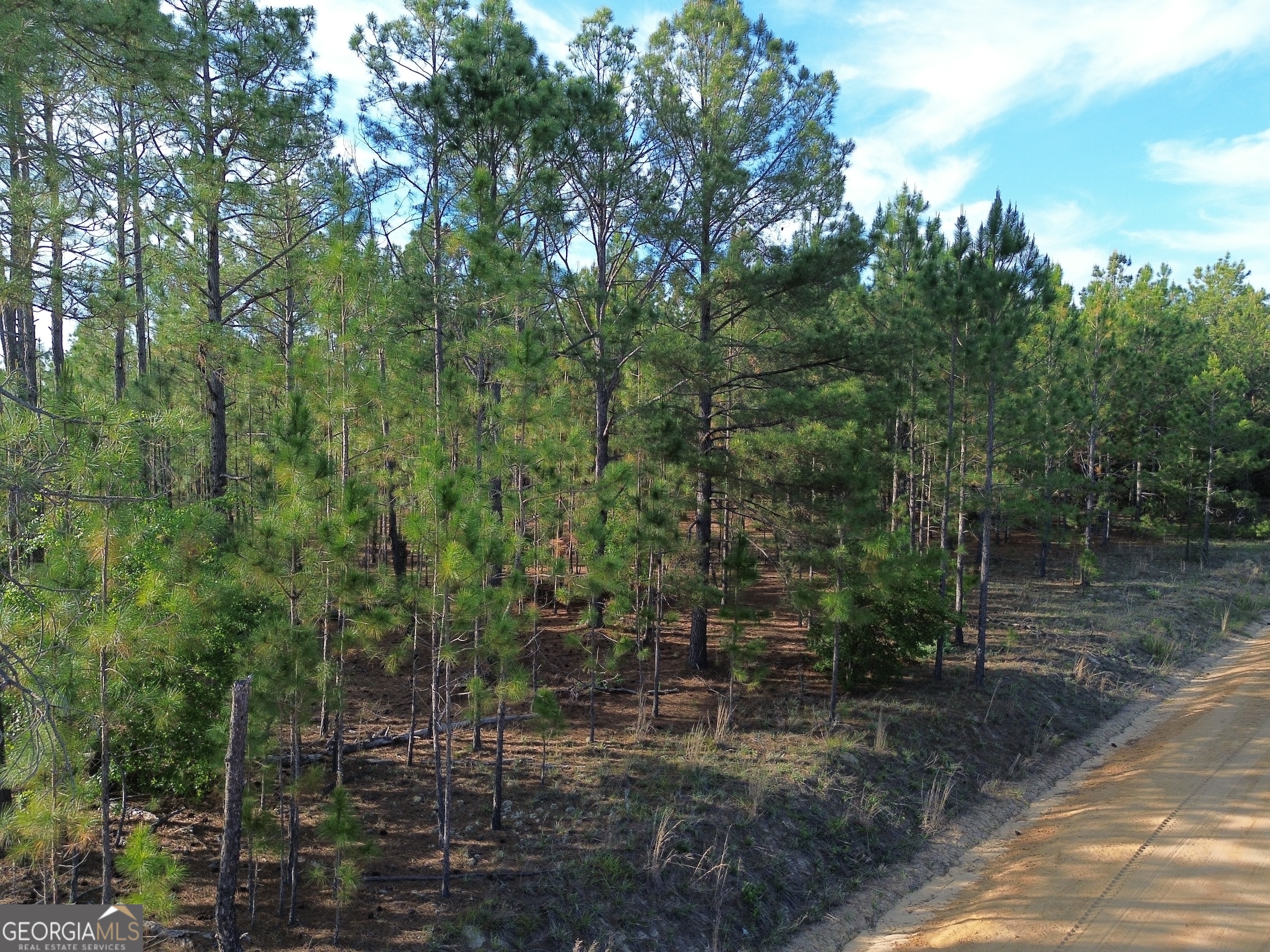 3570 William Dennis Road McRae-Helena, GA 31037 - Photo 12 of 23