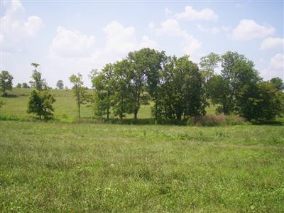 0 Perryville Road Perryville, KY 40468 - Photo 5 of 9 Photo 6