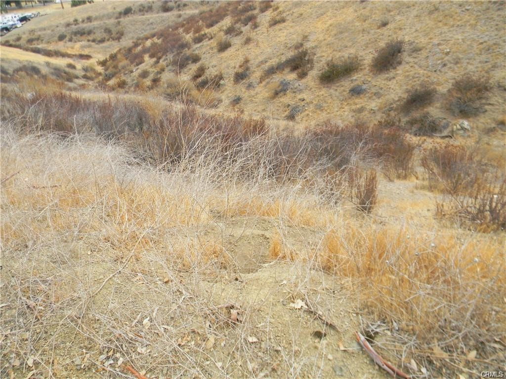 0 Elm Street/sunnyslope Lk