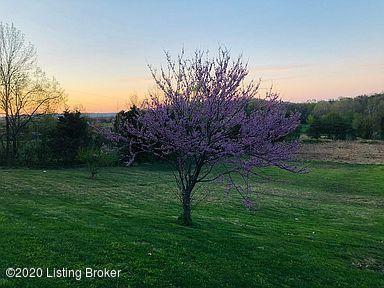 5864 Beech Grv Road Lebanon Junction, KY 40150 - Photo 8 of 32 Red Bud Tree Front Yard