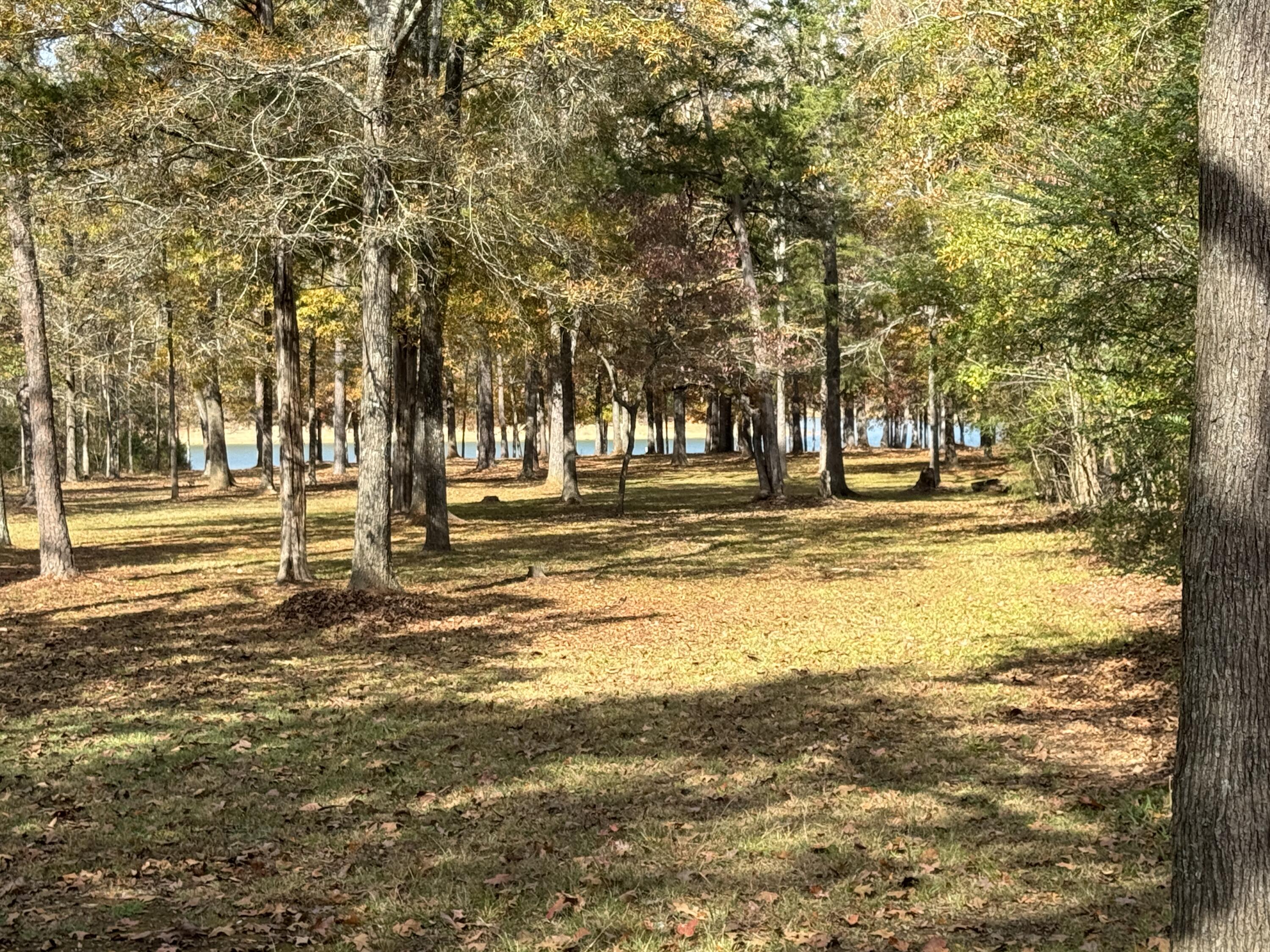 1273 Overlook Road Lincolnton, GA 30817 - Photo 2 of 21 IMG_0693