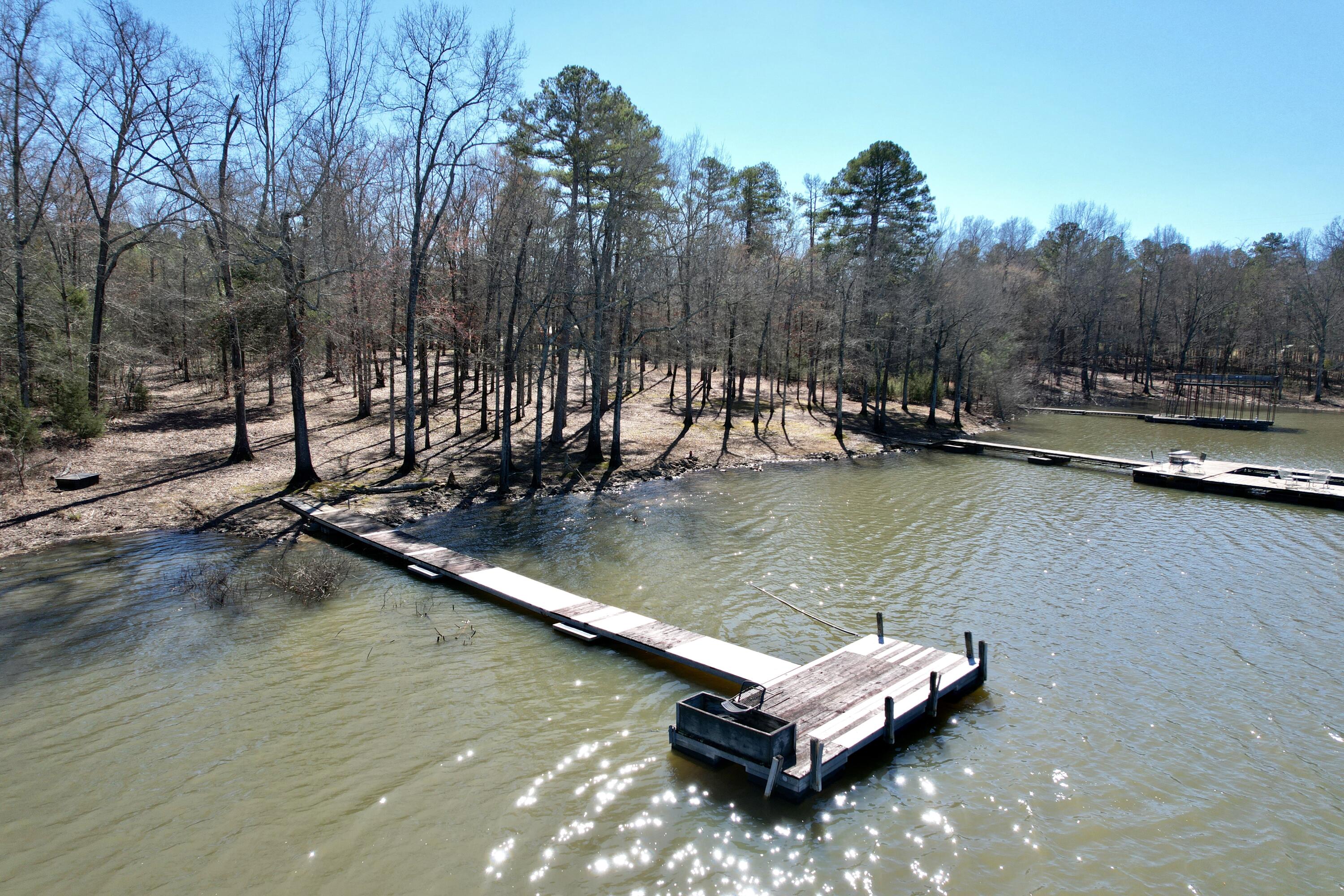 1273 Overlook Road Lincolnton, GA 30817 - Photo 21 of 21 DJI_0165