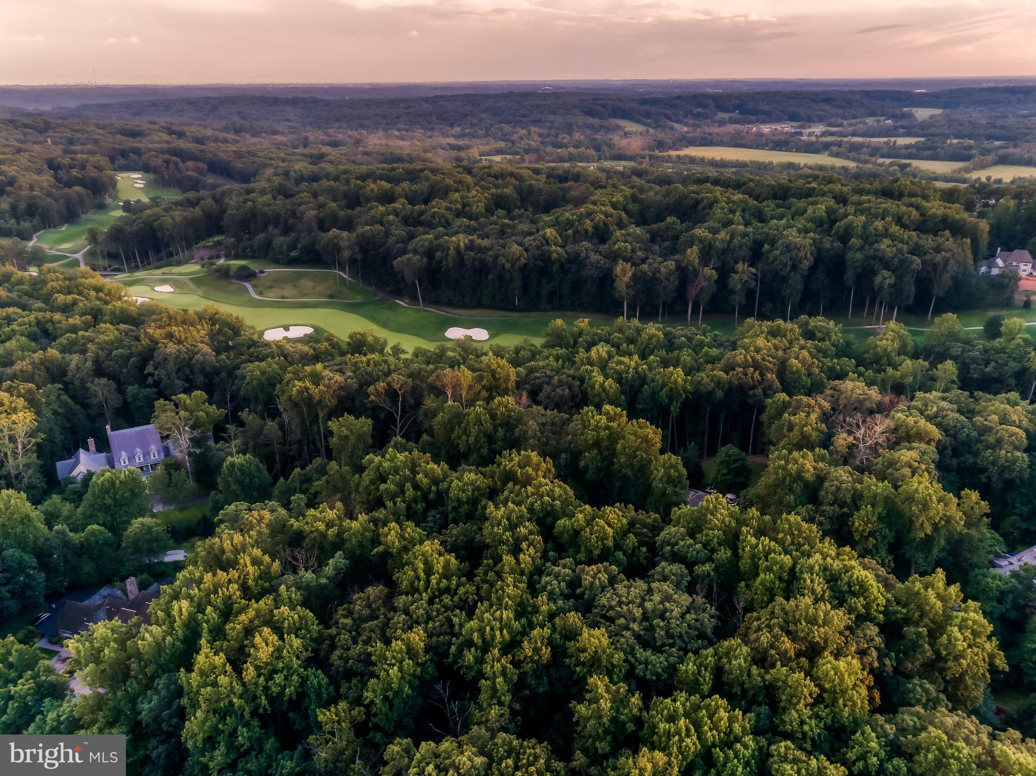 a view of a city with lush green forest
