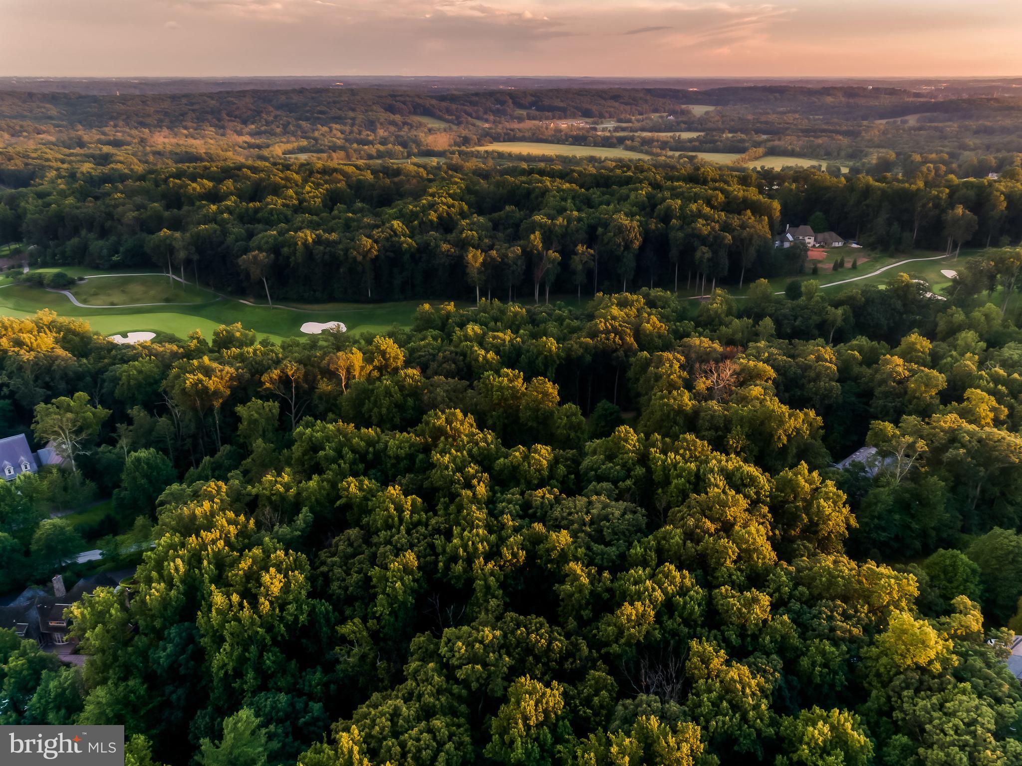 3116 Blendon Road Owings Mills, MD 21117 - Photo 7 of 11 a view of lake and mountain