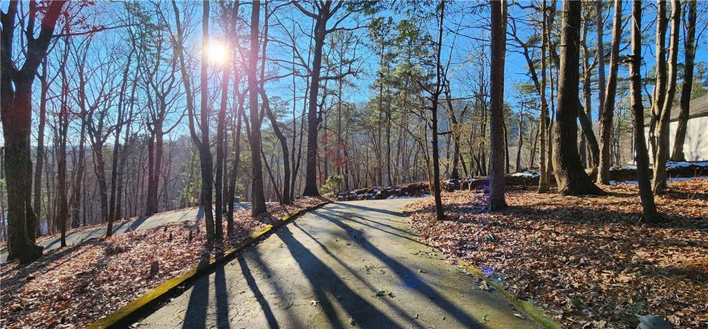 2630 Wilderness Lane Jasper, GA 30143 - Photo 54 of 57